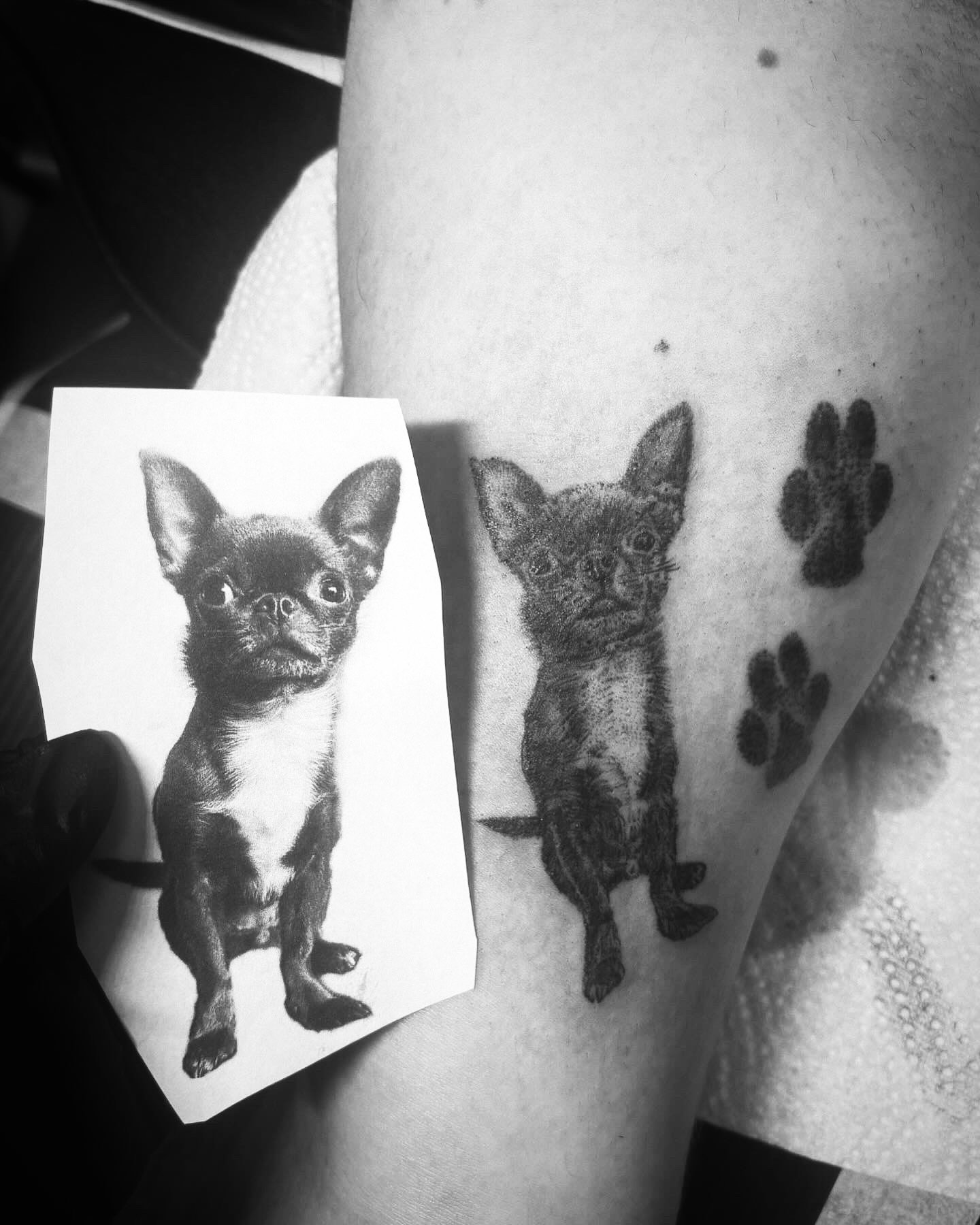 Tattoo: 6973EC54 2DFA 484E 988B 52252FB73BBF