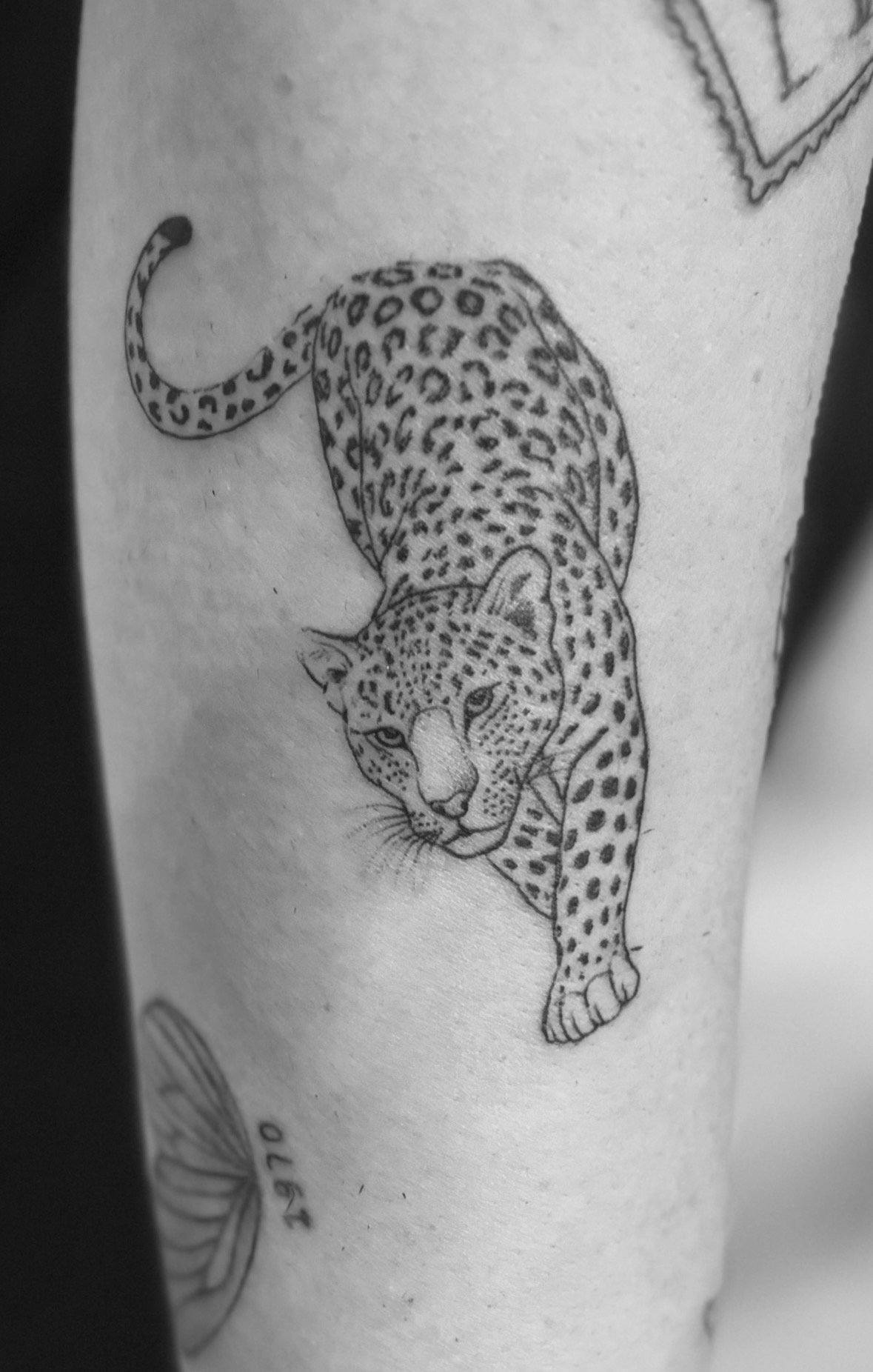 Tattoo: Gepard
