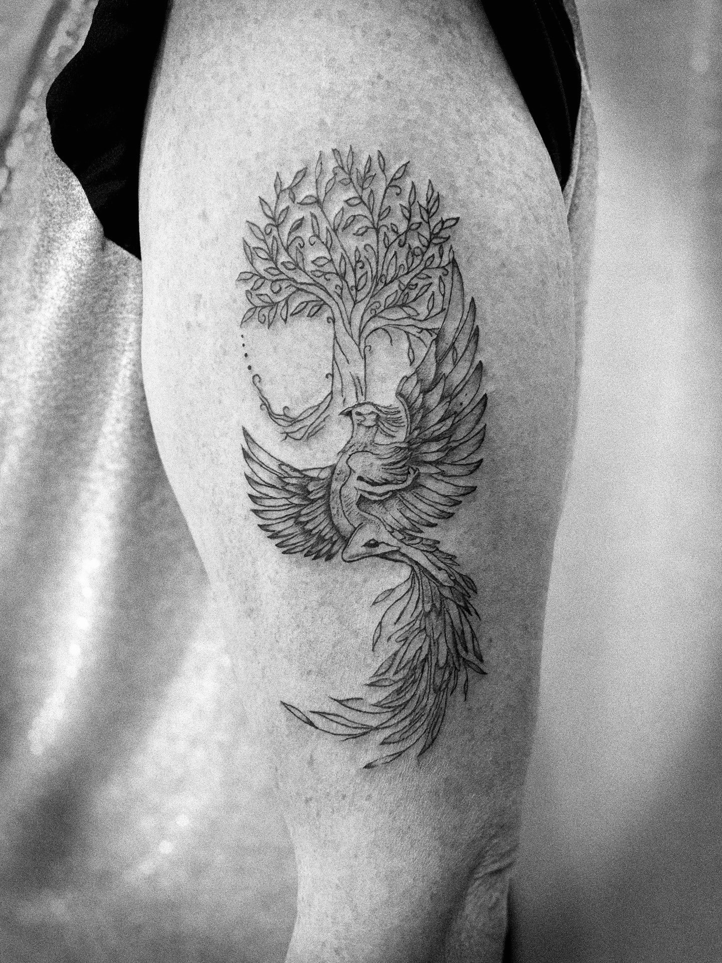 Tattoo: Ph%C3%B6nix