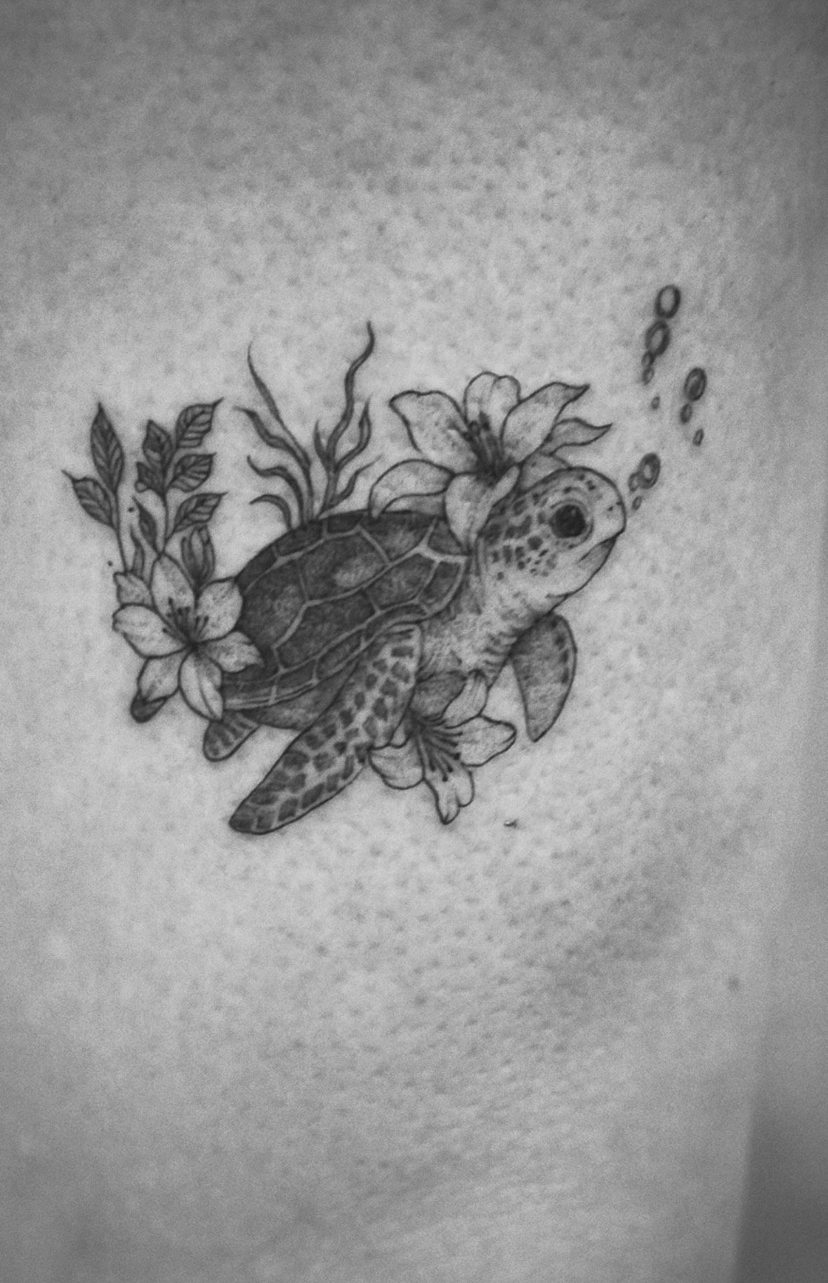 Tattoo: Schildi Wasser