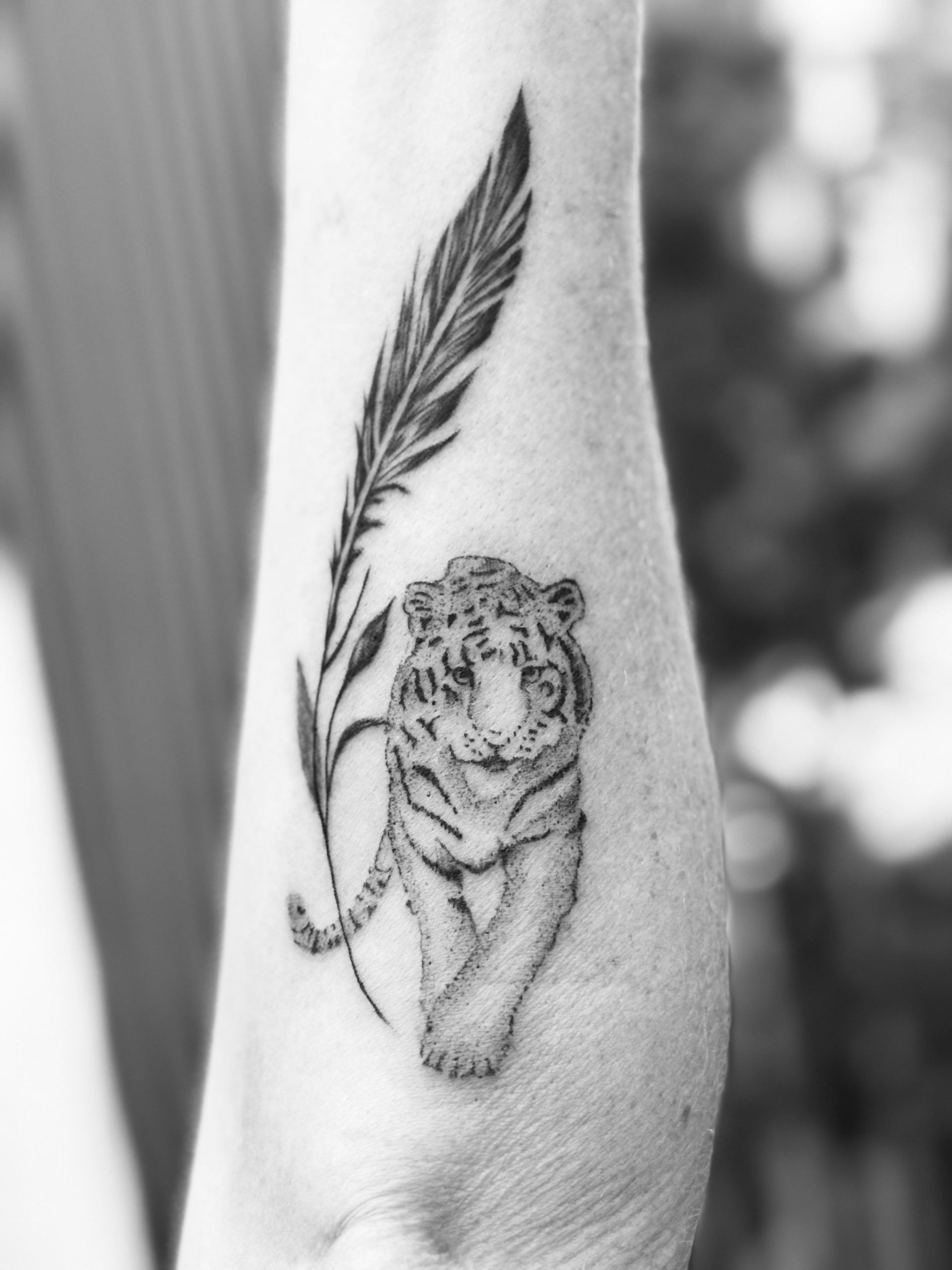 Tattoo: Tiger Feder