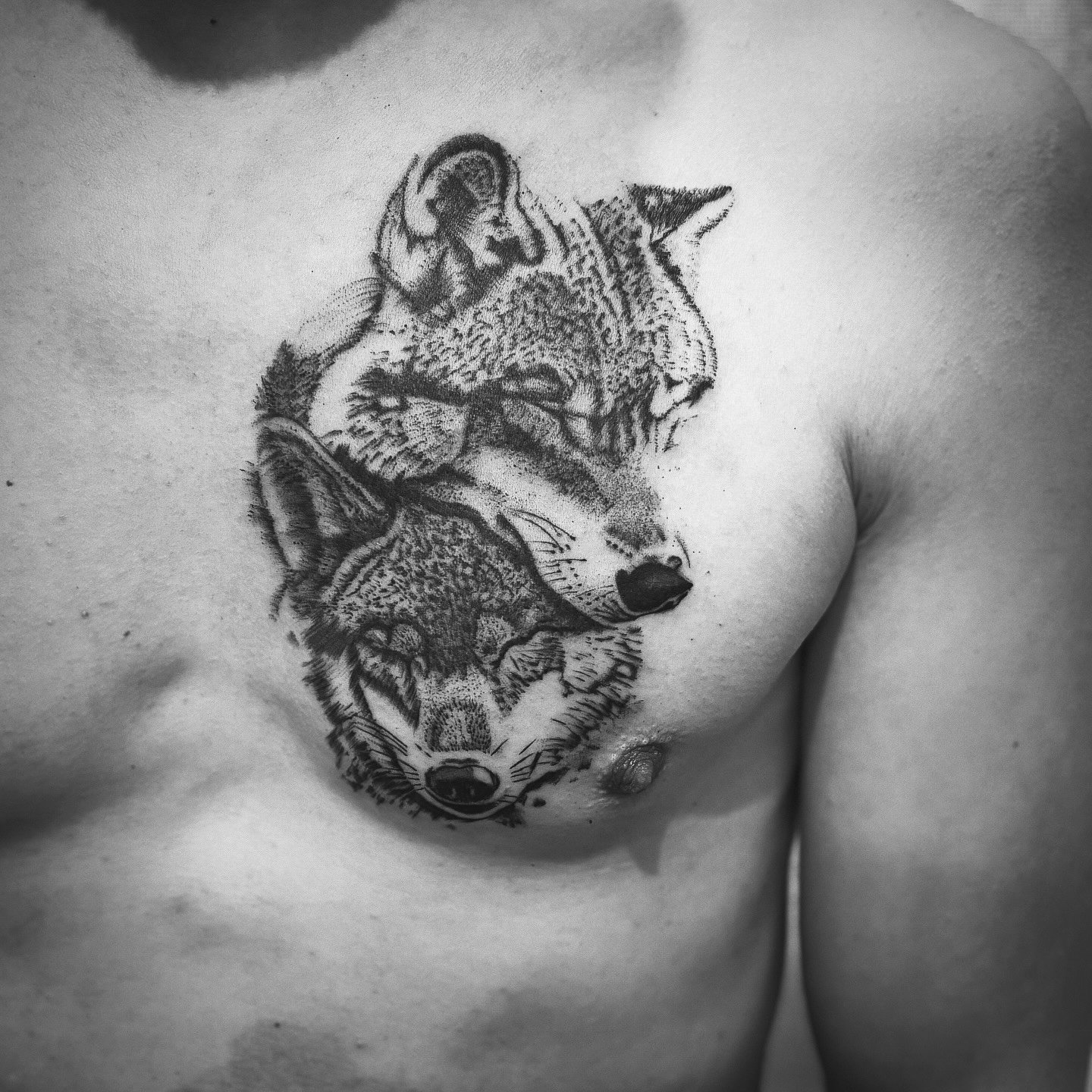 Tattoo: W%C3%B6fle