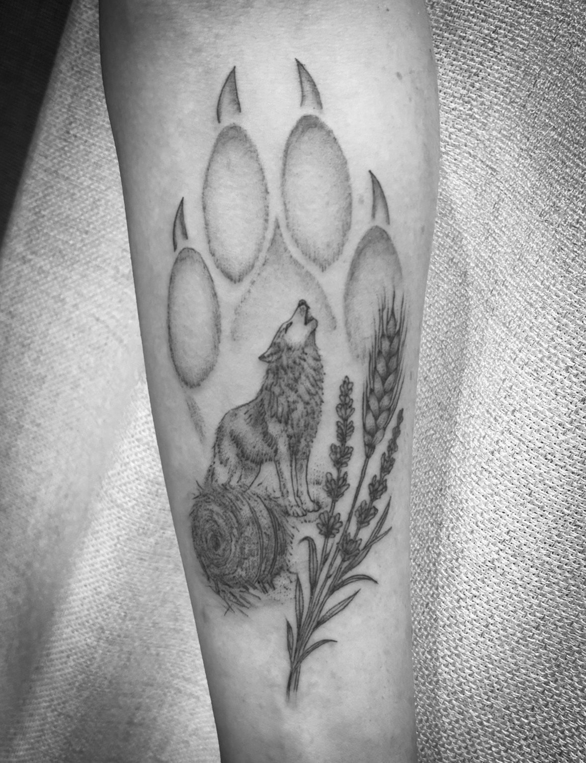 Tattoo: Wolf